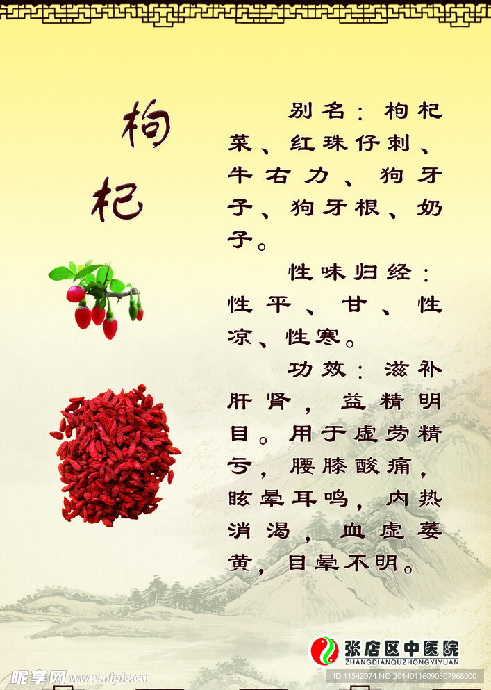 血虚吃枸杞有用吗 枸杞调理血虚的真相与食用禁忌