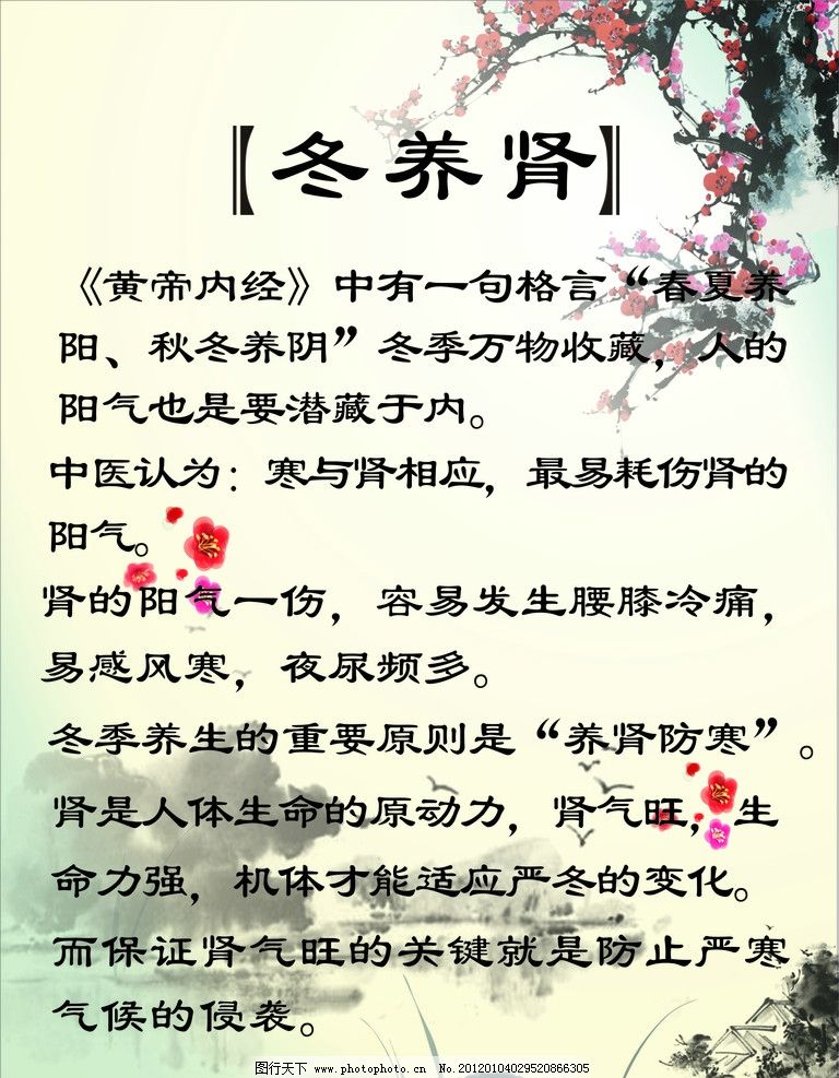 中医养生之道：养肾秘籍大公开，开启健康活力新篇章