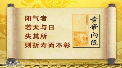 中医养生补阳之道，为你开启健康活力新篇章