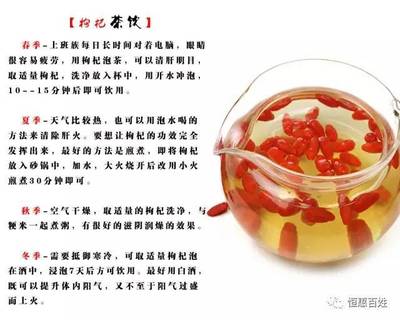 枸杞四季养生全攻略，为你解锁全年健康生活密码