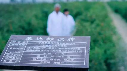 枸杞美国标准：解析其背后的考量与影响