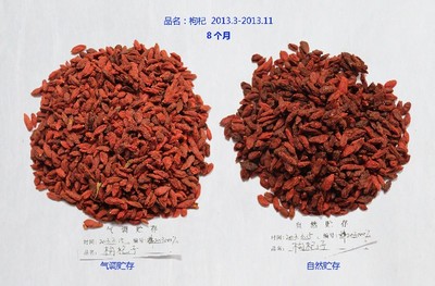 枸杞防虫妙招大揭秘，守护枸杞健康生长的秘诀