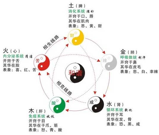 中医养生之道：精准调理阴阳，开启身心平衡健康之旅