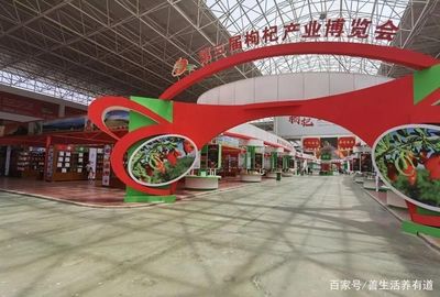 枸杞品牌展会：汇聚精华，共展枸杞行业璀璨风采