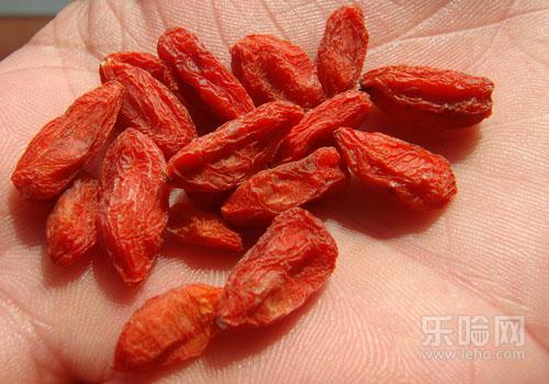 枸杞神奇功效揭秘：小小果实，如何助力对抗岁月衰老？