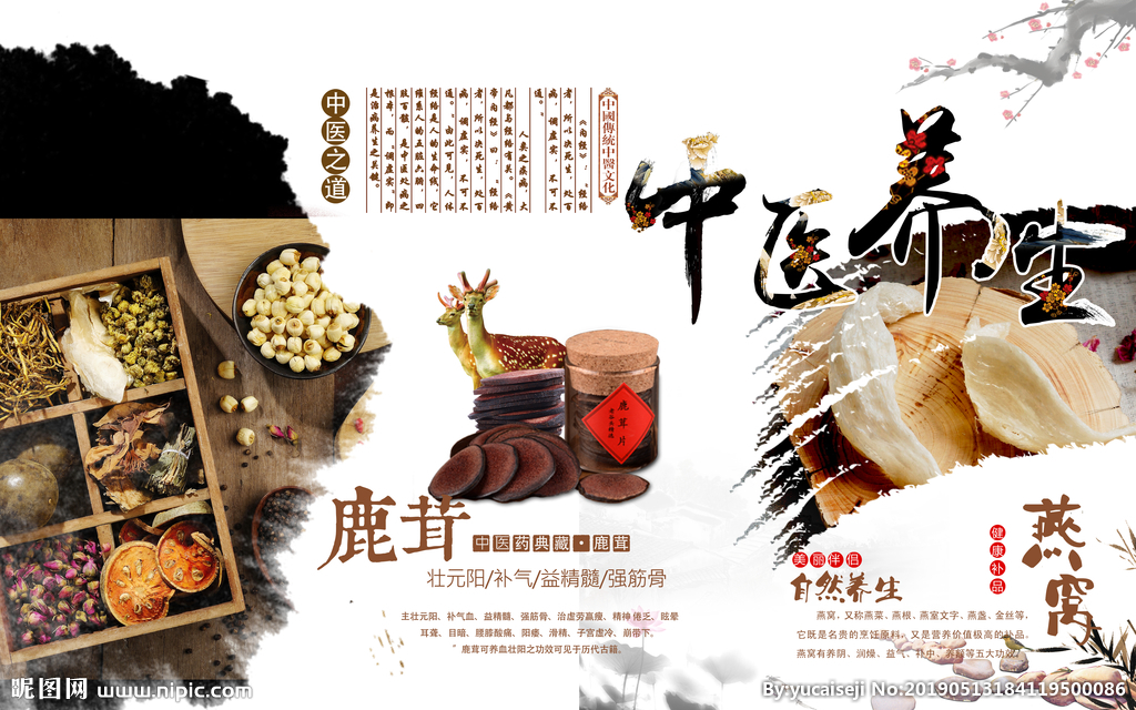 中医养生之道：补气秘籍大公开，开启健康活力新篇章