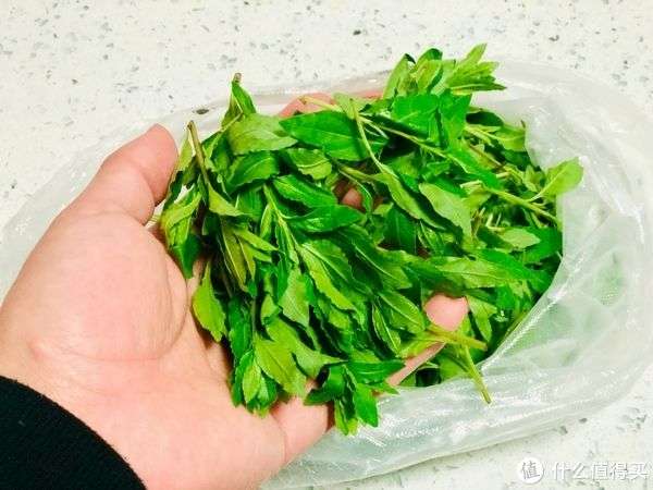 春天吃枸杞正当时,解锁春日养生滋补新方式