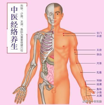 养生经络关键：解锁身体康健密码，探寻经络养生真谛