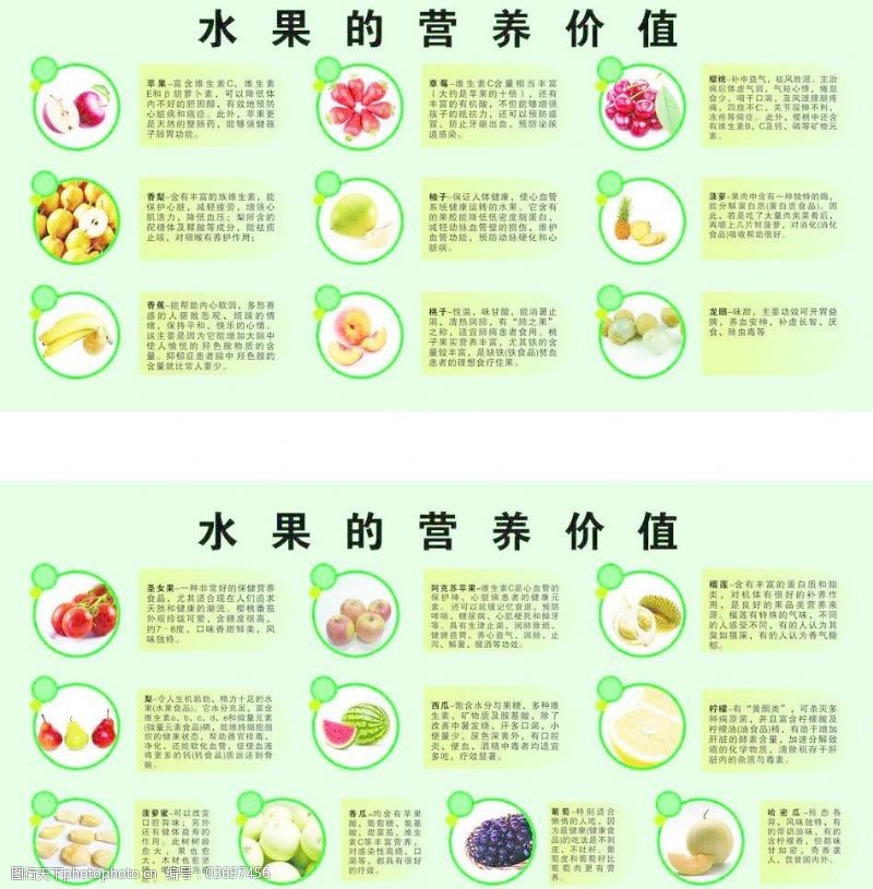 饮食养生：探寻富含高矿物质食物，开启健康生活新方式
