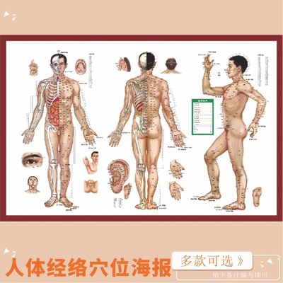 中医养生经络针灸：解锁身体奥秘，开启健康新篇