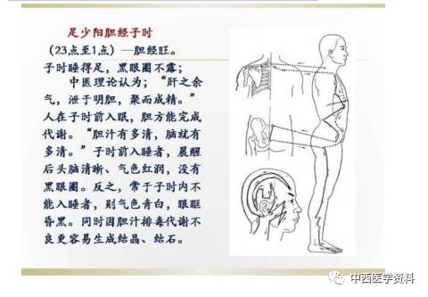 养生经络重点：探寻关键穴位与疏通方法，守护健康之道