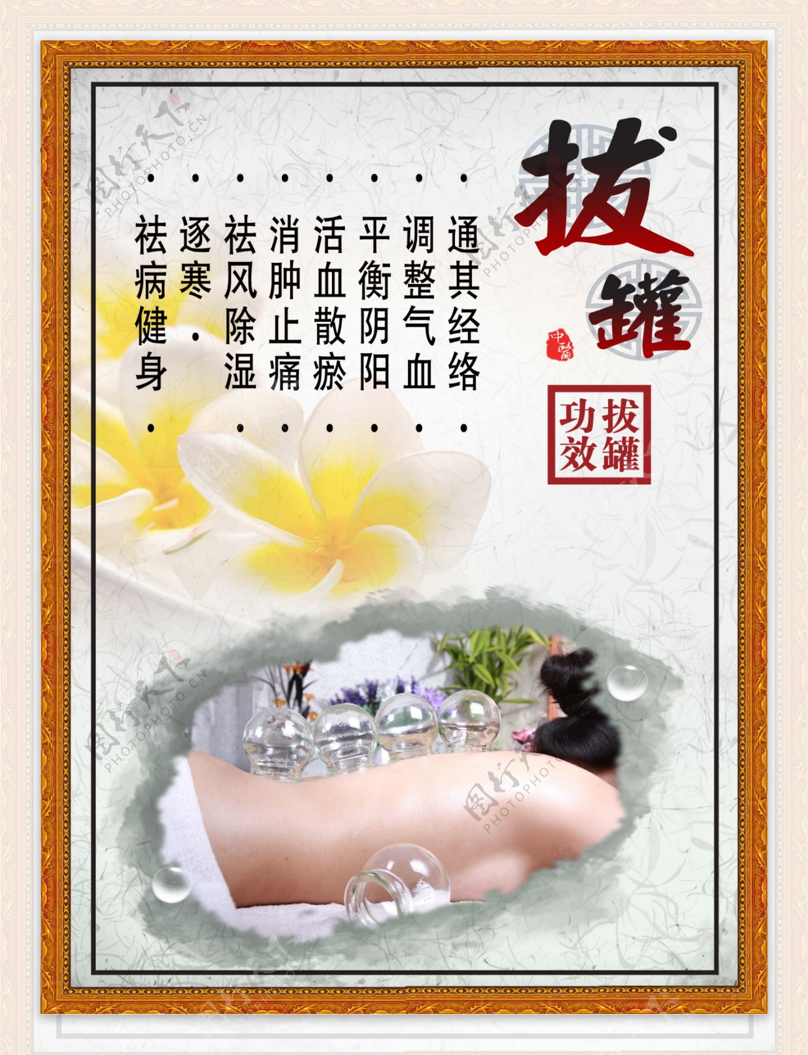 经络拔罐开启中医养生妙门，解锁身体康健密码