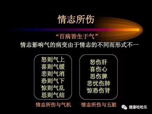 掌握养生情志常识，呵护身心健康开启美好生活新篇
