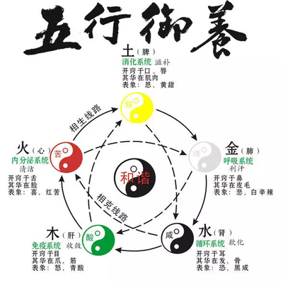 中医养生妙法：精准调理心脾，重焕身心活力
