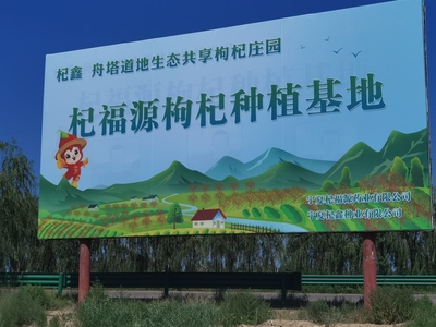 枸杞良种：品质卓越的优良之选，引领枸杞种植新方向