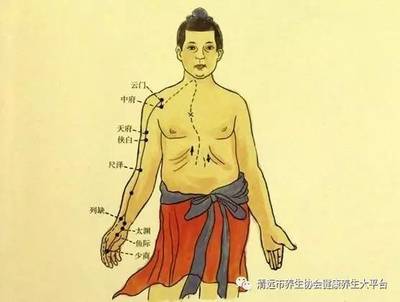 揭秘养生经络窍门，轻松开启健康生活新方式