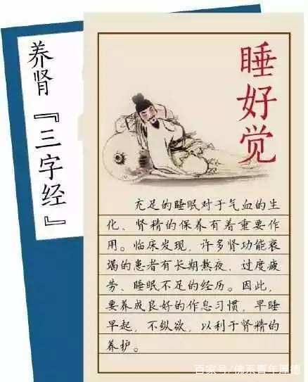 打好养生基础：睡眠的关键要素与重要性