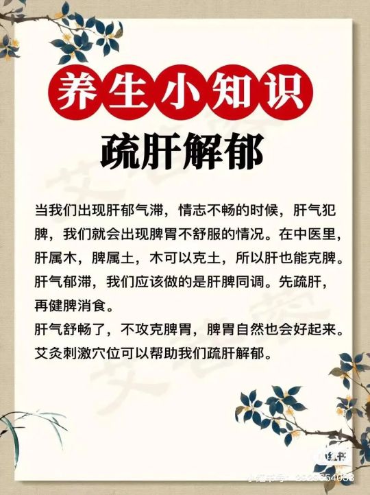 掌控情志密码，解锁养生真谛，开启身心愉悦健康生活新篇章